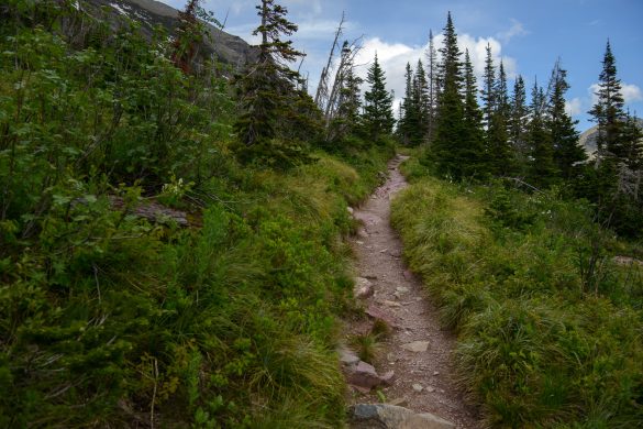 Grinnell Glacier Trail. Glacier National Park, Montana Simple Compositions