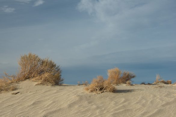 Olancha Sand Dunes, California Simple Compositions