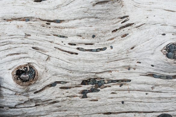 FUJI0991 The Texture of Travel