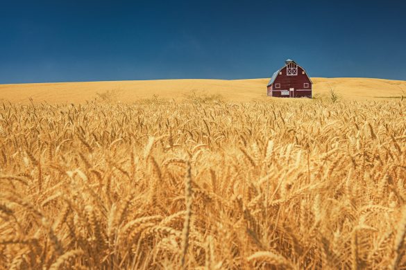 800_4770 Simple Compositions