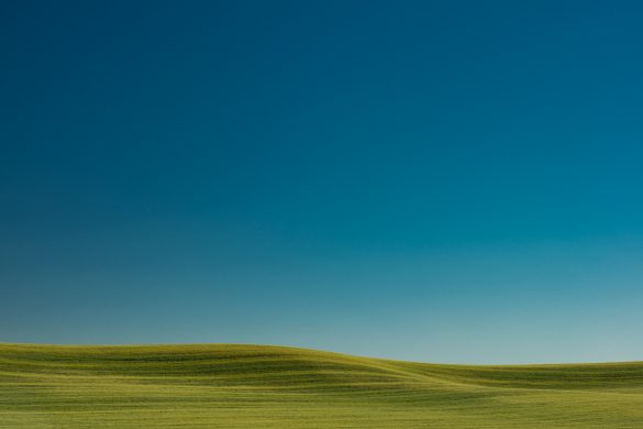 800_4508 Simple Compositions